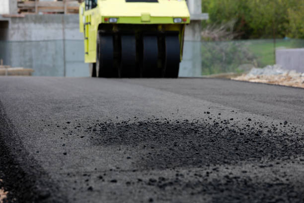 Best Custom Driveway Pavers  in Dumas, TX