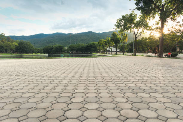Best Brick Driveway Pavers  in Dumas, TX