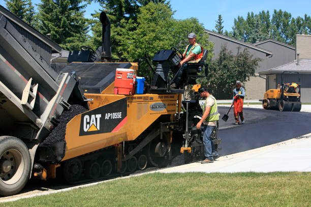 Best Professional Driveway Pavers  in Dumas, TX